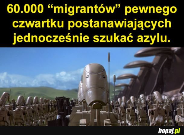 Co za przypadek