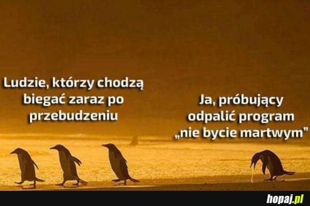 Niestety oprogramowanie wymaga aktualizacji