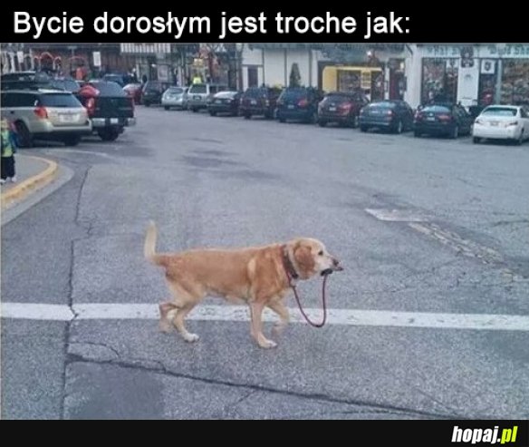 Bycie dorosłym