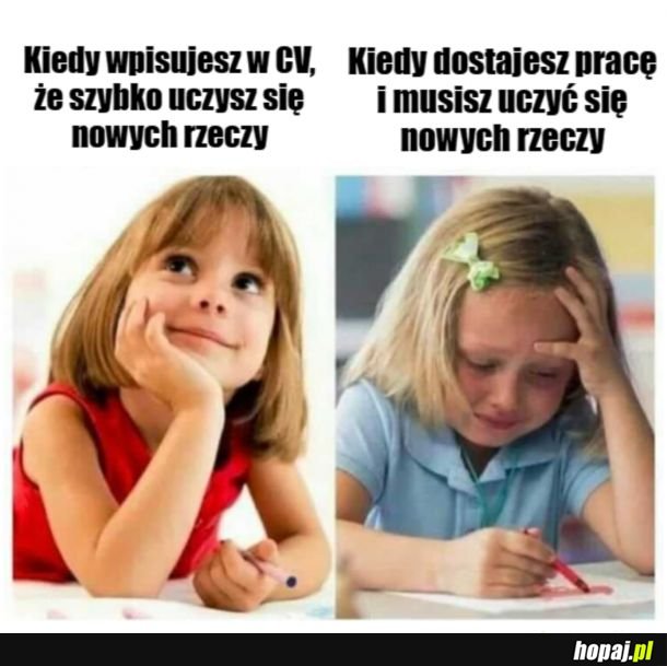 Kiedy wpisujesz w CV, że szybko uczysz się nowych rzeczy
