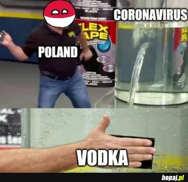 Poland strong