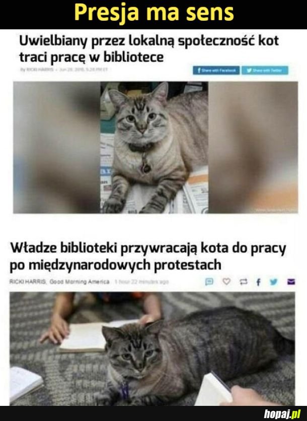Presja ma sens