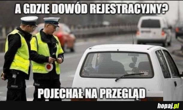 Polska przed CEPIK