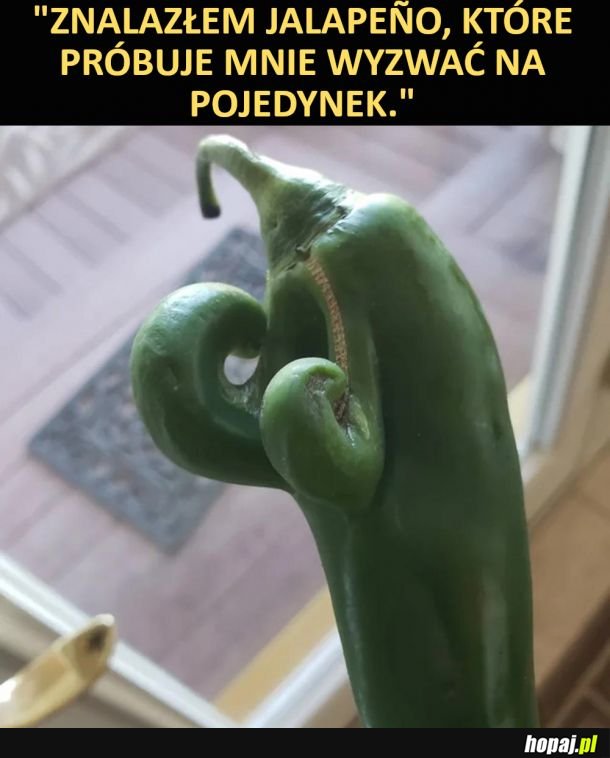 Chcesz się bić?