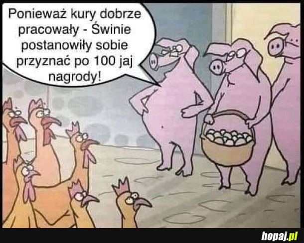 Każdy polityk na świecie