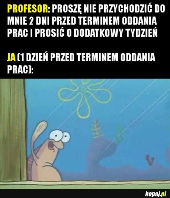  TYMCZASEM NA STUDIACH