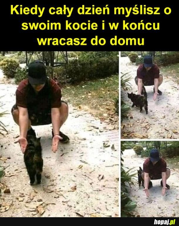 Stęskniony