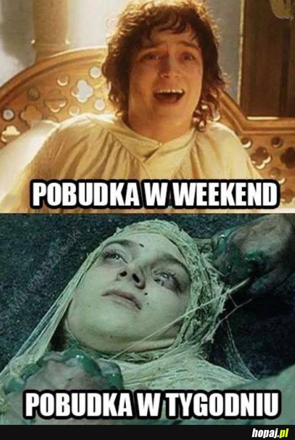 Pobudka