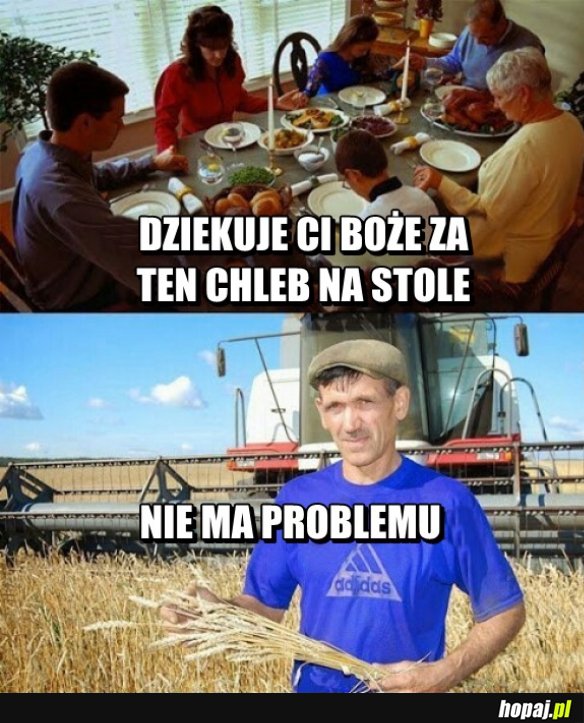 Chleb na stole