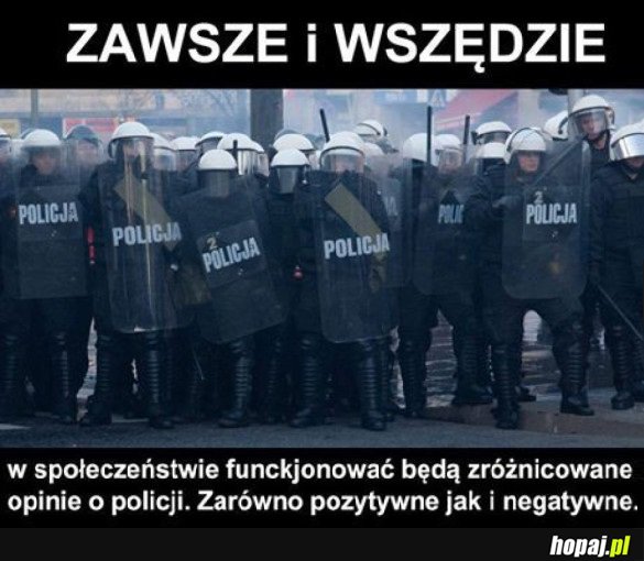 POLICJA