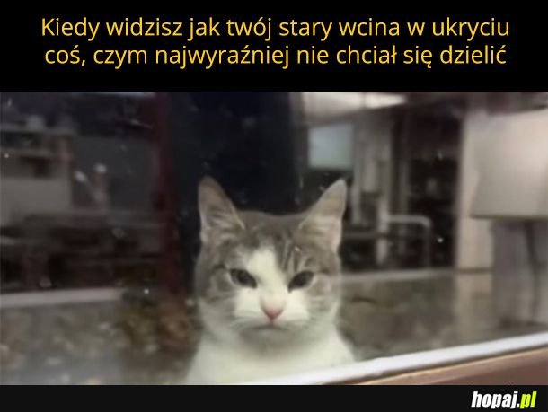 Ejże