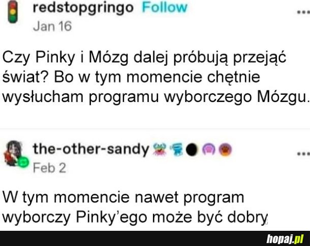 Pinky i Mózg