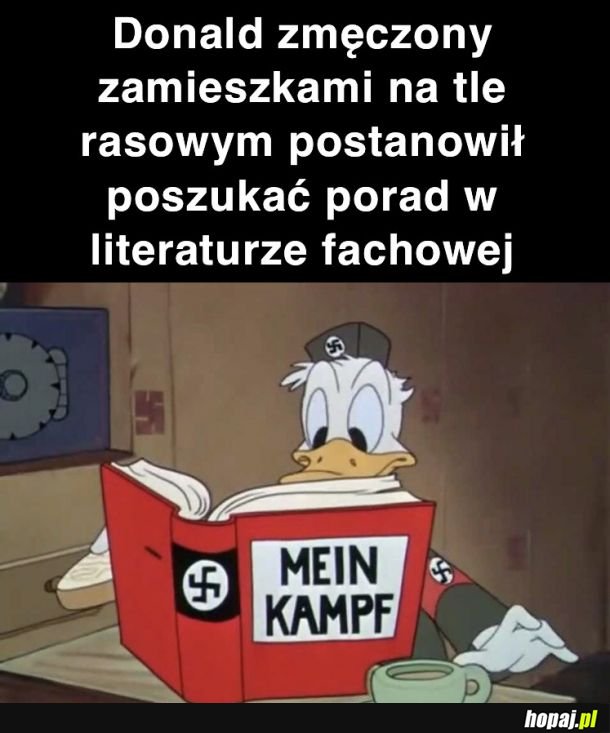 Kiedyś to były kreskówki