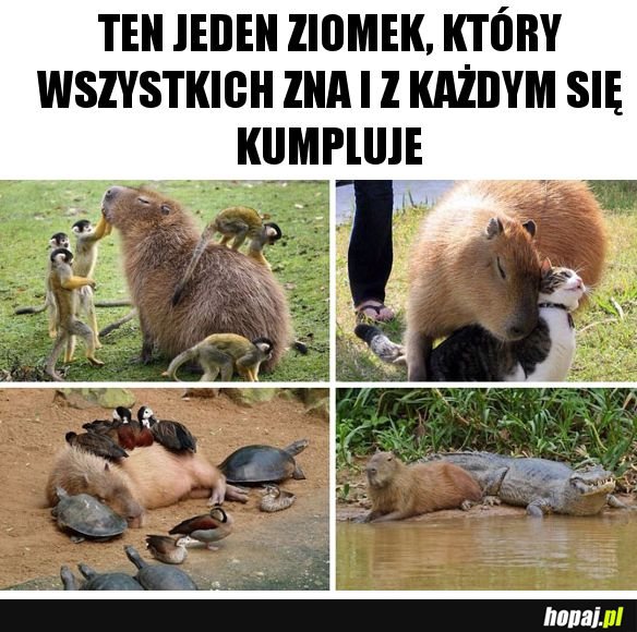 Ten jeden ziomek