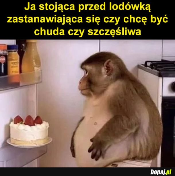 Moment wyboru