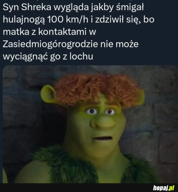 Syn Shreka