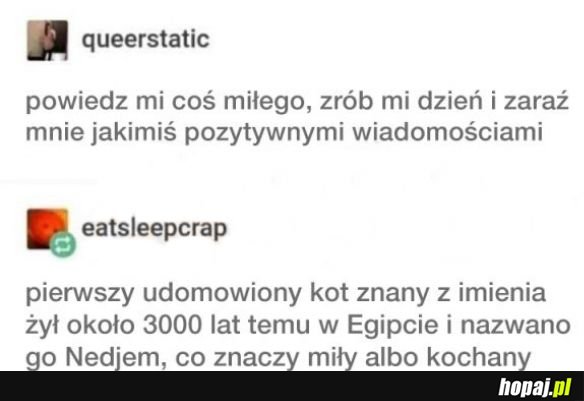 Coś miłego