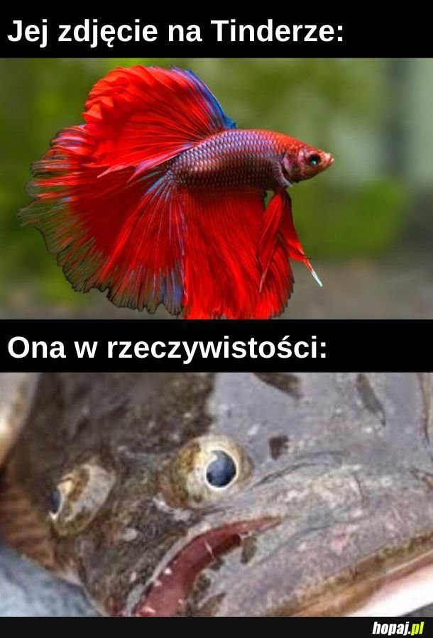 Ważne, że chwyci robaka