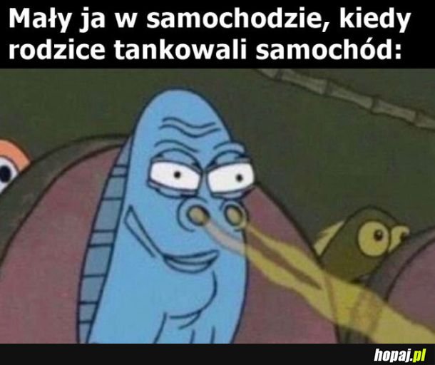 Zapach