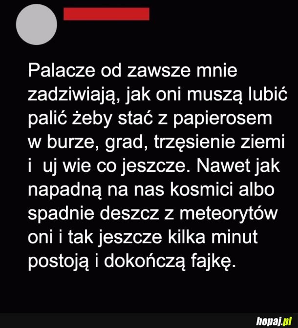 Nałóg tylko dla wytrwałych 