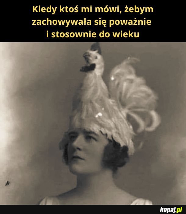 Kura ma muszkę, więc jest elegancka