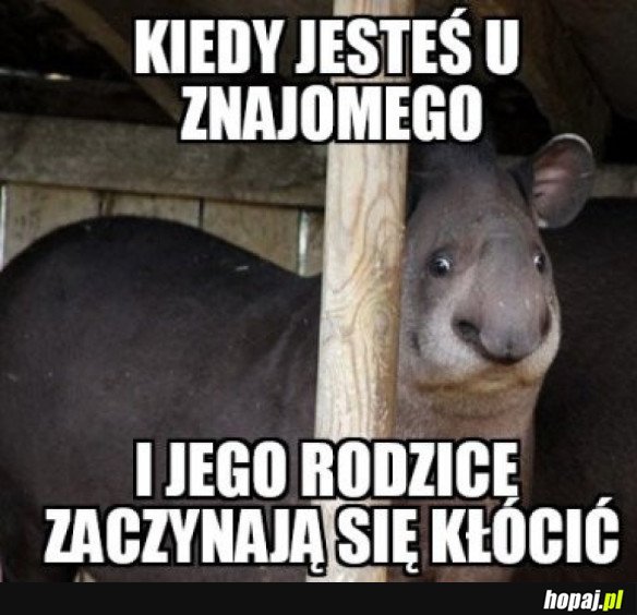 ALE SIARA