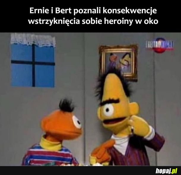 Ernie i Bert