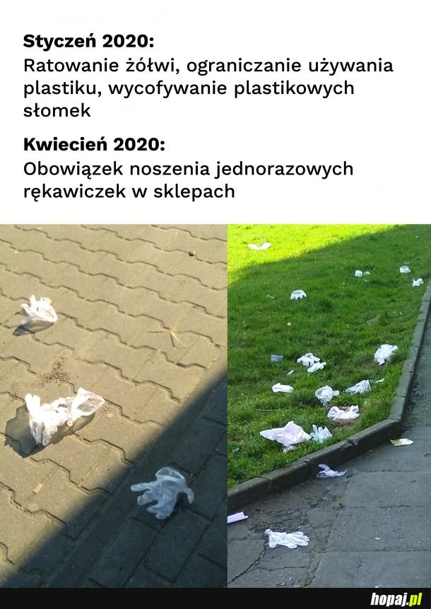 Rękawiczki jednorazowe