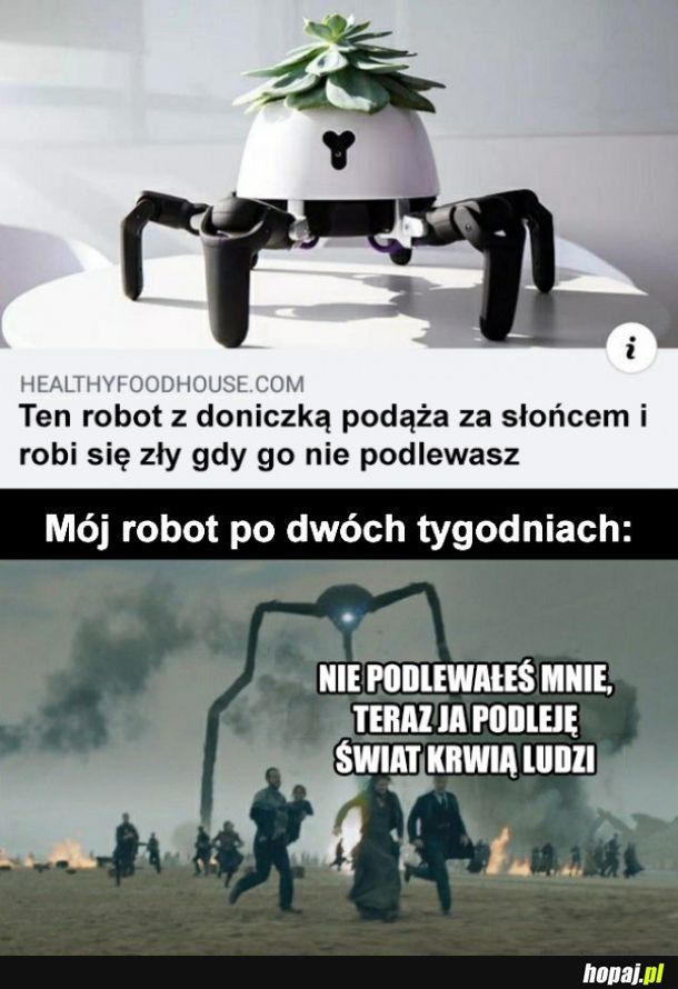 Robot