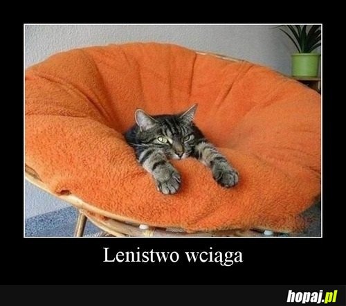 Lenistwo wciąga