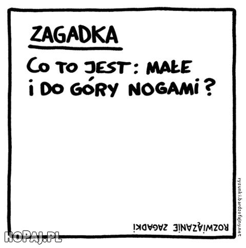 Zagadka