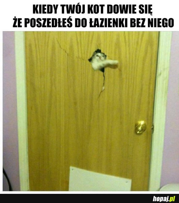 LŚNIENIE