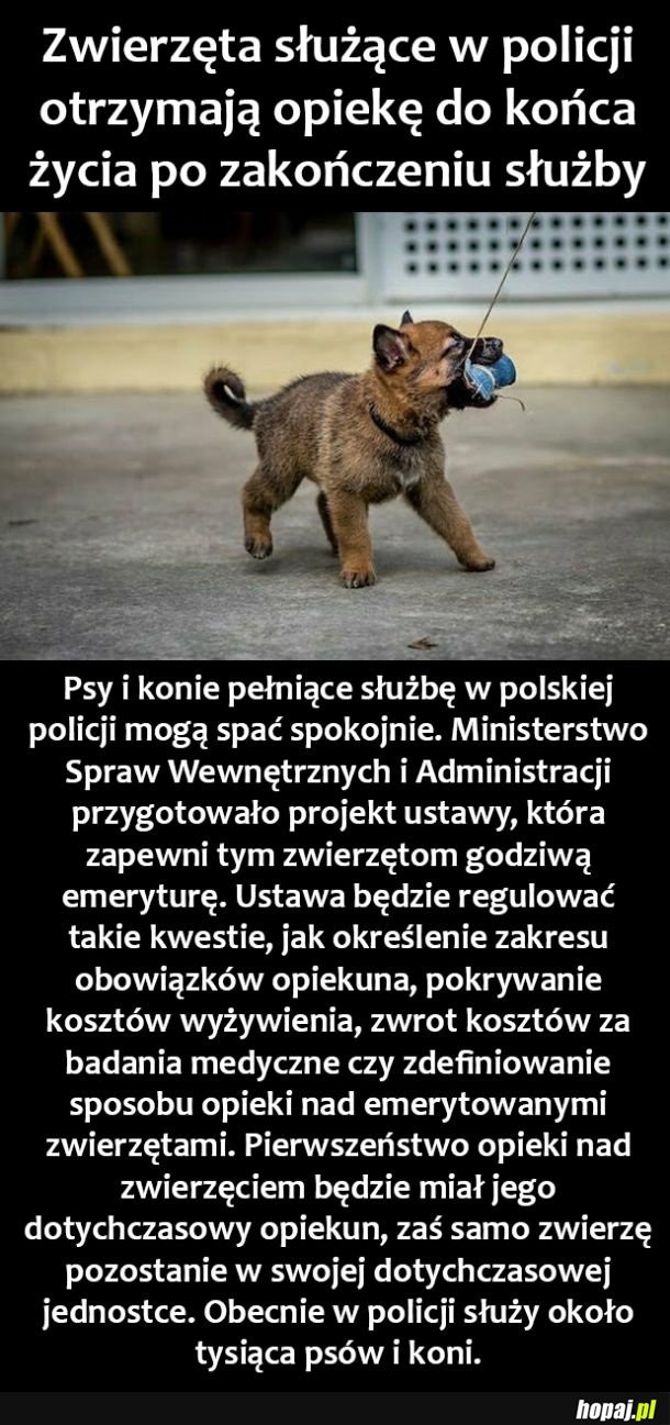 Zwierzęta w policji