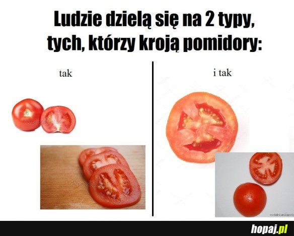 2 TYPY FANÓW KANAPEK