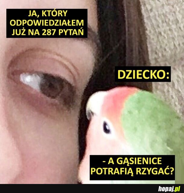 Nieskończone pokłady cierpliwości