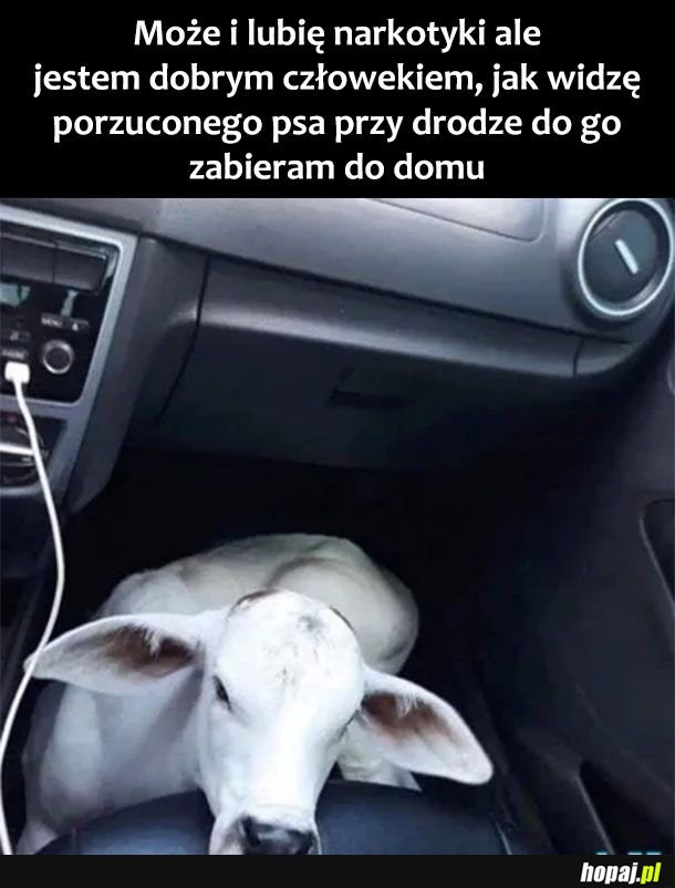 Nie znasz nie oceniaj