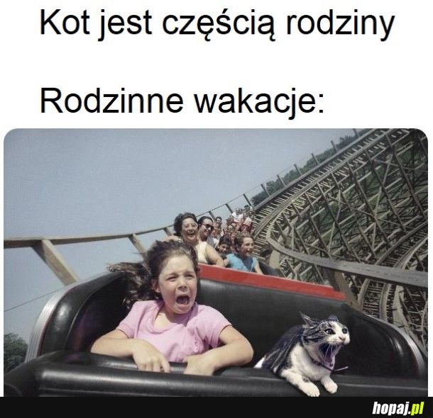 Rodzinka zawsze razem