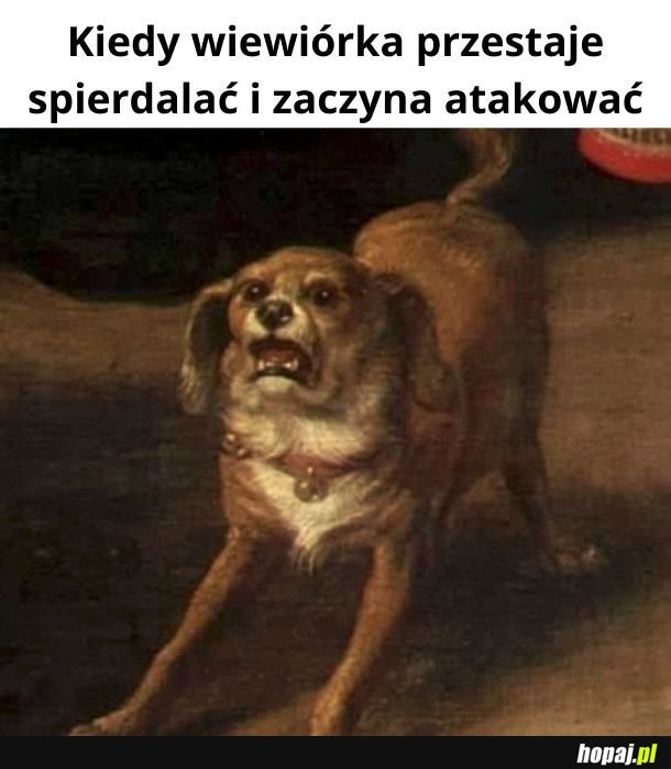 *psi zawał*