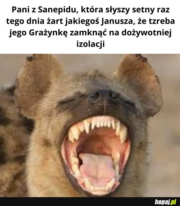 Żart Janusza
