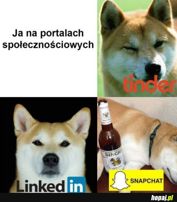 Ja na portalach społecznościowych