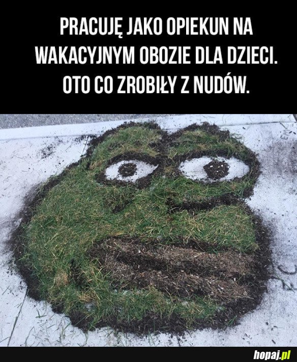 WAKACYJNE PEPE