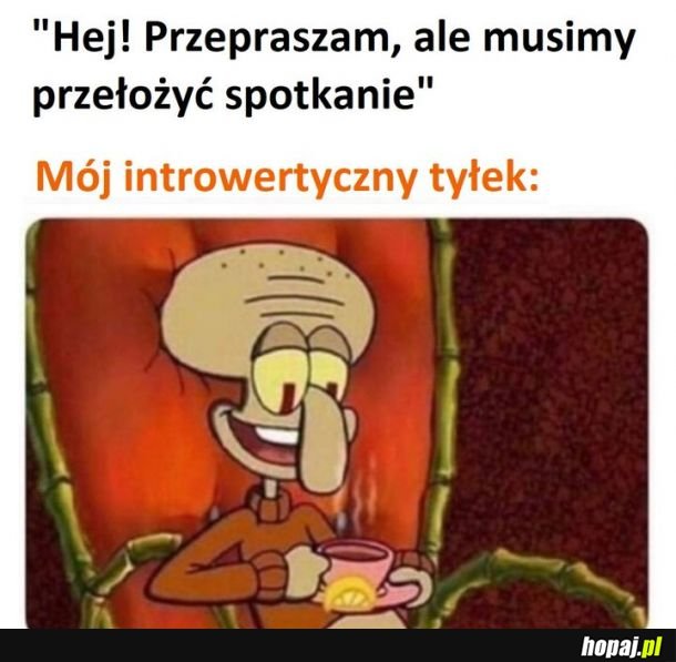 No szkoda