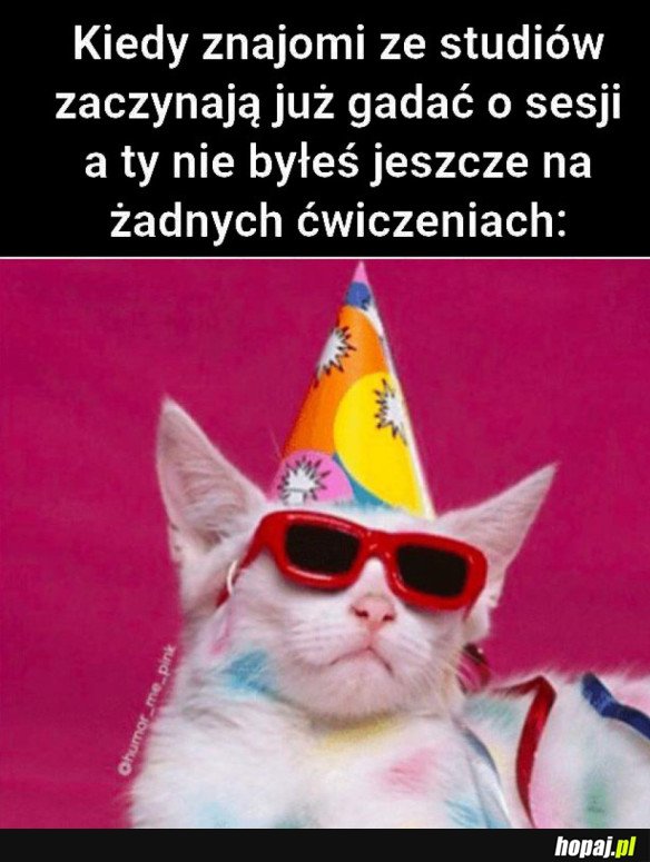 STUDIA