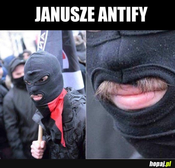 JANUSZE DEMONSTRACJI