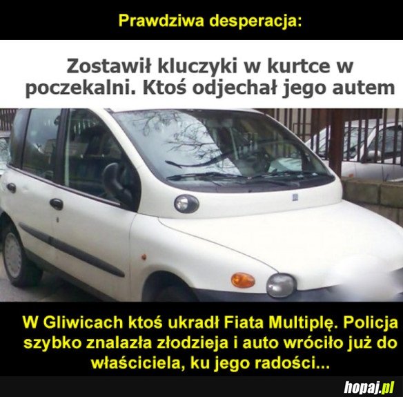 DESPERACJA LEVEL GLIWICE