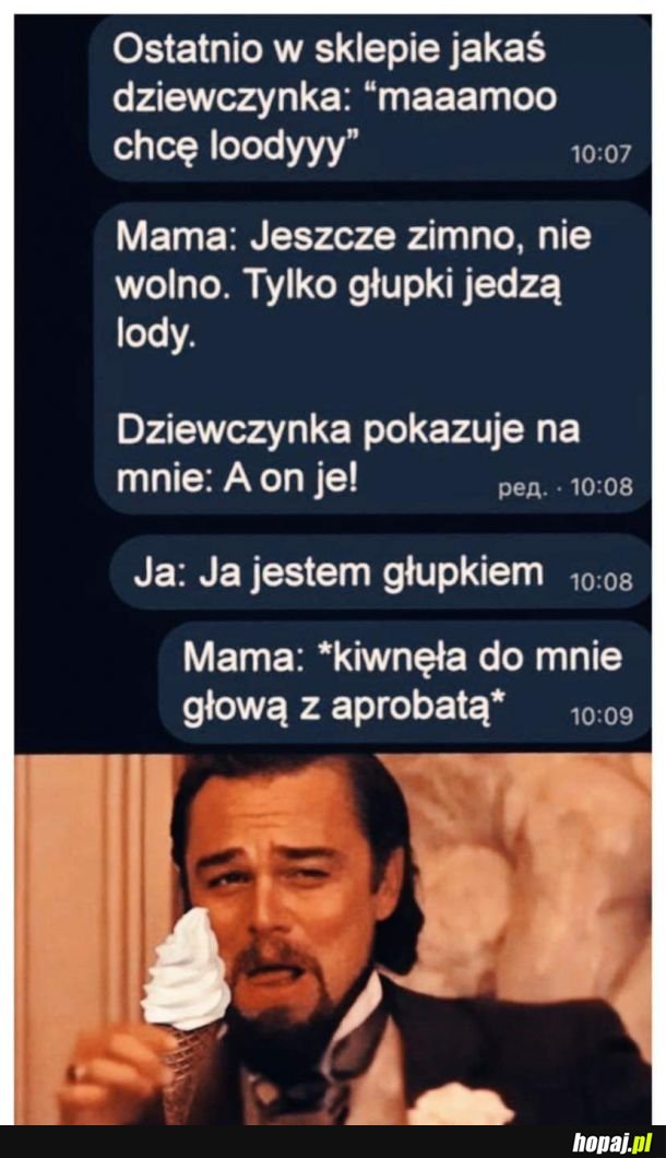 Jestem głupkiem