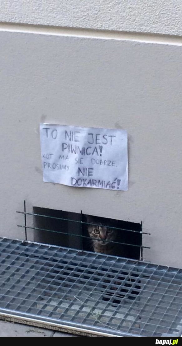 KREATYWNOŚĆ LUDZI NIE ZNA GRANIC