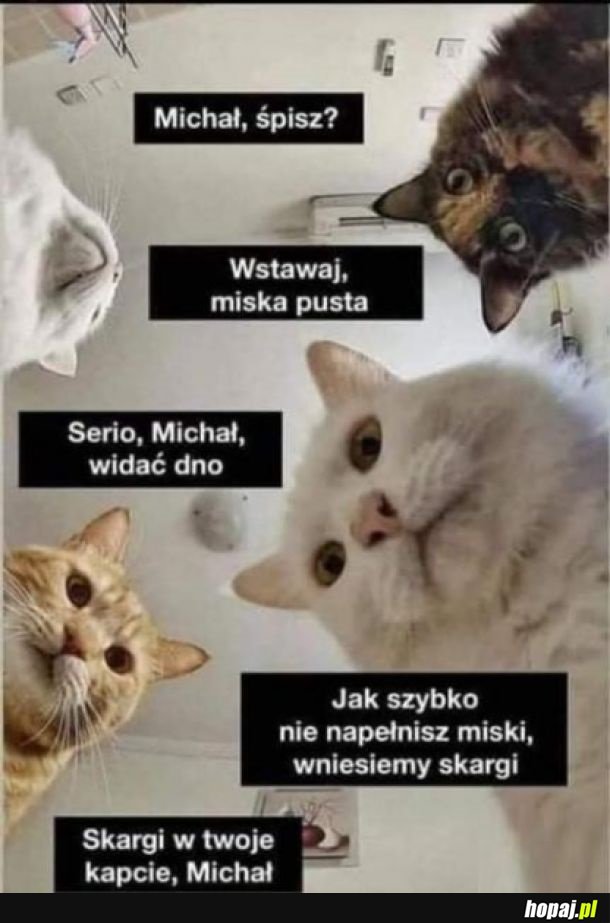 Wstawaj