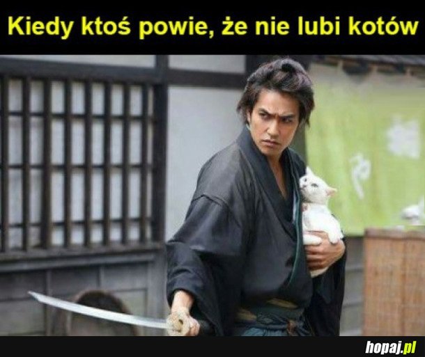 JAK MOŻNA NIE LUBIĆ KOTÓW