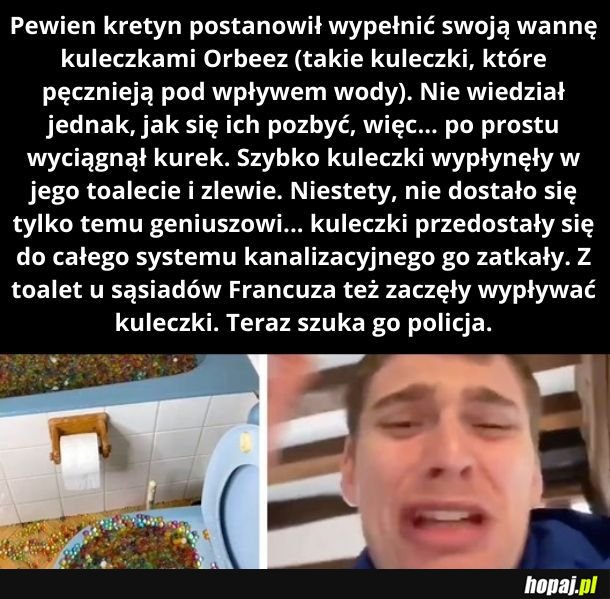 Oczywiście głupek jest youtuberem